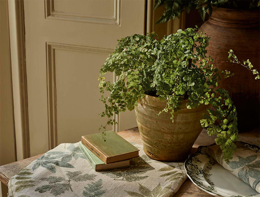 Spill Resistant RHS  Foliage Spring Green